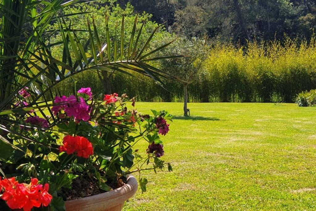 Les Prairies De Fenestrelle Spa & Piscine Au Calme Aubagne Exterior foto